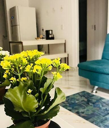 Apartamento No Andar Terreo Foz do Iguaçu Exteriör bild