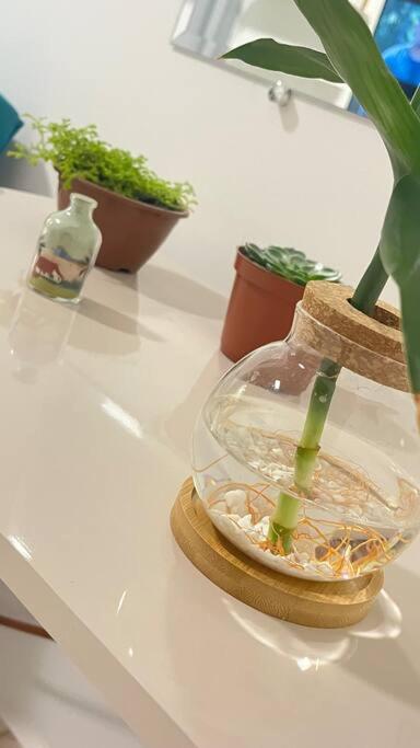 Apartamento No Andar Terreo Foz do Iguaçu Exteriör bild