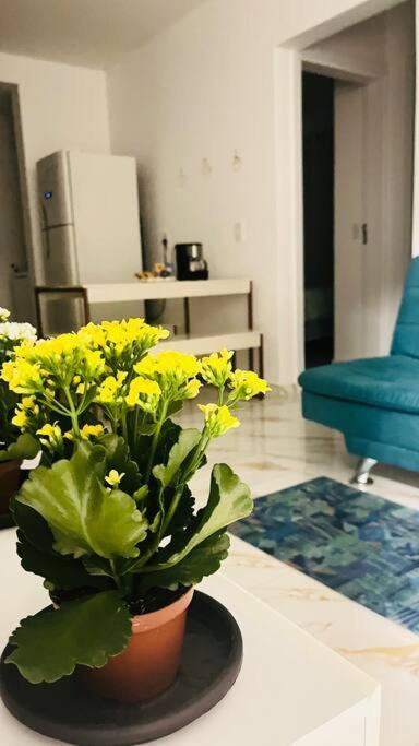 Apartamento No Andar Terreo Foz do Iguaçu Exteriör bild